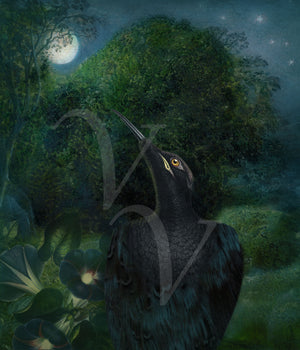 Black bird with Full Moon. Mystical raven collage. Fine art print