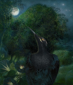 Midnight Spell. Blackbird. Mystical Raven collage. Fine art print