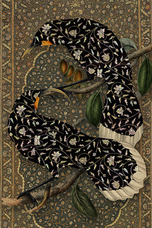 East of the Moon. Exotic Night Birds. Original Collage. Fine Art Print