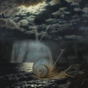 Escargot. Surreal sea snail by moonlight collage. Fine art print 