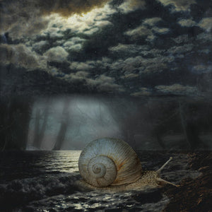 Escargot. Surreal sea snail by moonlight collage. Fine art print 