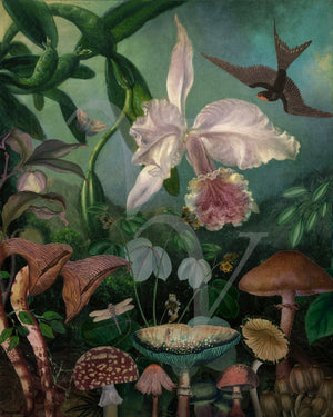 Secret Garden. Night forest collage with swallow,, orchid and mushrooms. Fine art print