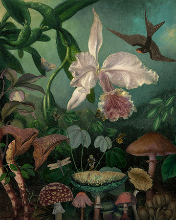 Secret Garden. Night forest collage with orchid and mushrooms. Fine art print