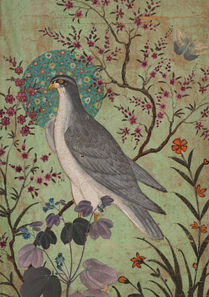 Falcon and Flowers. Exotic bird collage. Fine art print
