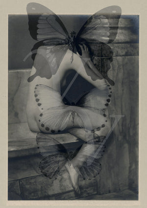 Myrrh, original collage. Nude female with butterflies