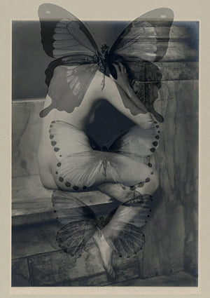 Myrrh, original collage. Butterfly woman