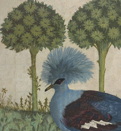 Victoria Crowned Pigeon. Original collage. Queen of the Forest 