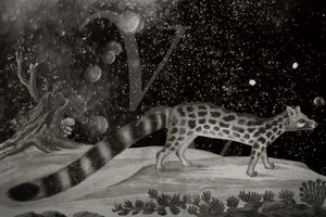 Cosmic Cat. Original collage. Fine art print 