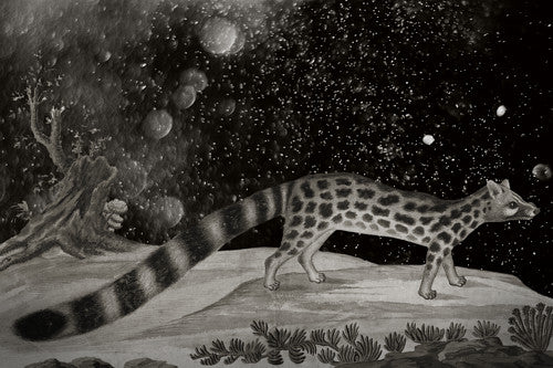 Cosmic Cat. Original collage. Fine art print 