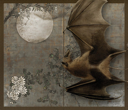 When the Night Falls. Bat with Full Moon and Blossoms collage. Flying Fox. Fine art print 