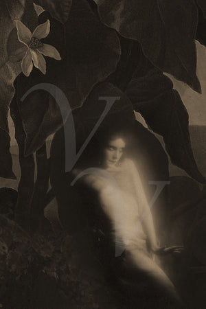 Spirited. Ghostly woman in a dark forest. Original collage. Gothic. Fine art print