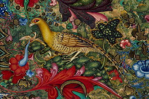 Lovebird. Original collage. Colourful forest bird