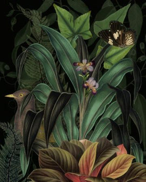 Velvet Bower. Lush rain forest plants with bird collage. Fine art print 