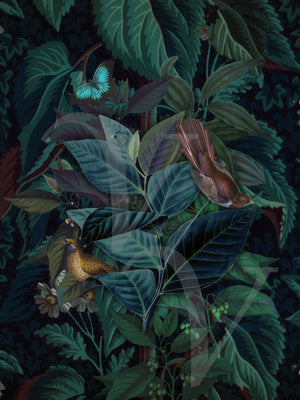 Evergreen dark botanical lush exotic plants with birds original collage. Fine art print