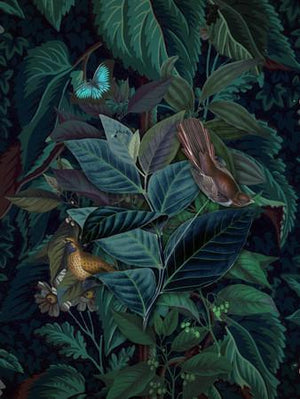 Evergreen dark botanical lush exotic plants with birds original collage.  Fine art print