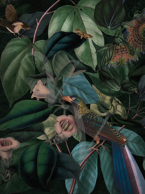 Twilight. Lush forest jungle birds original collage. Fine art print