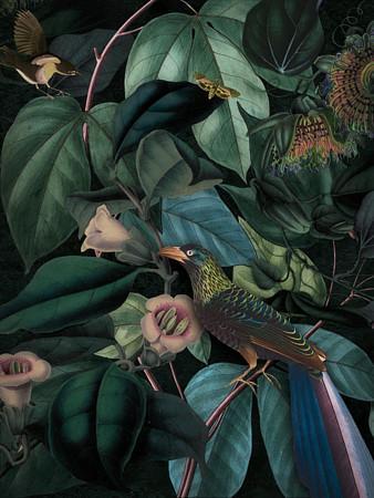 Twilight. Lush forest jungle birds original collage. Fine art print 