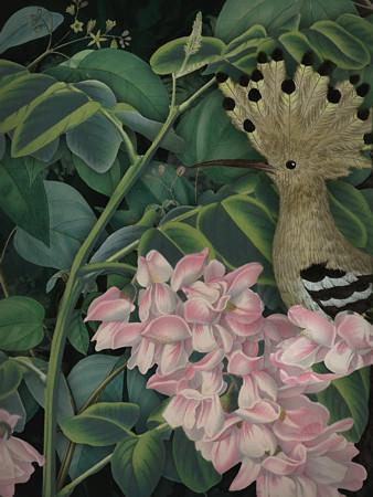 Folly. Whimsical lush floral forest bird collage. Fine art print 