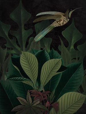 Colour the Night. Beautiful tropical forest bird original collage. Fine art print.