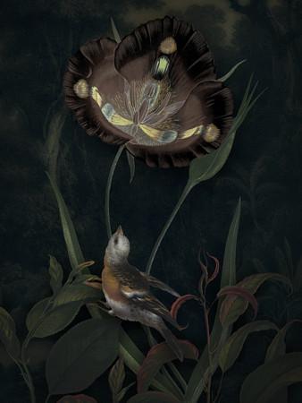 Wonder. Dark forest bird with exotic flower collage. Fine art print