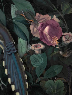 Dawn Blooms. Dark floral original botanical collage. Fine art print